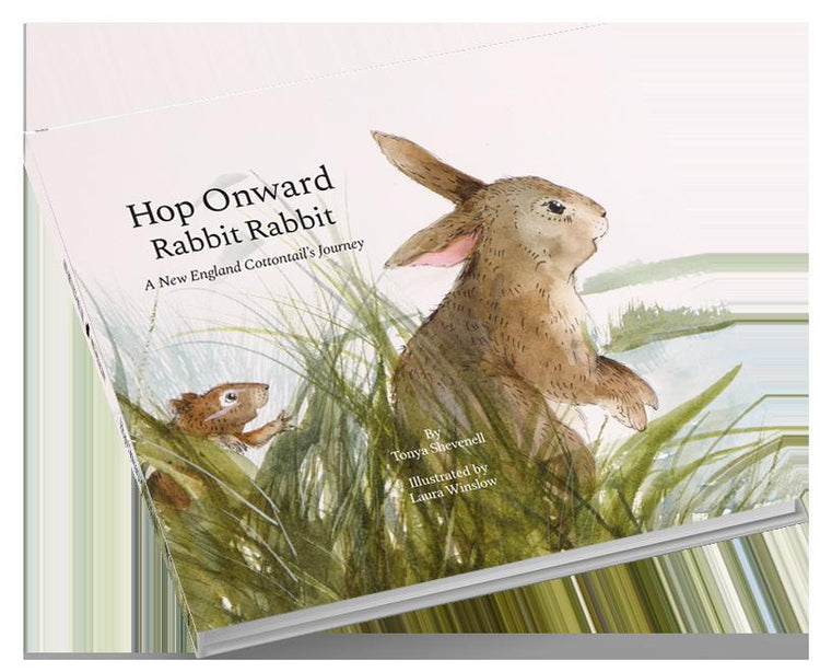 Hop Onward Rabbit Rabbit: A New England Cottontail's Journey the new book by Tonya Shevenell and Laura Winslow