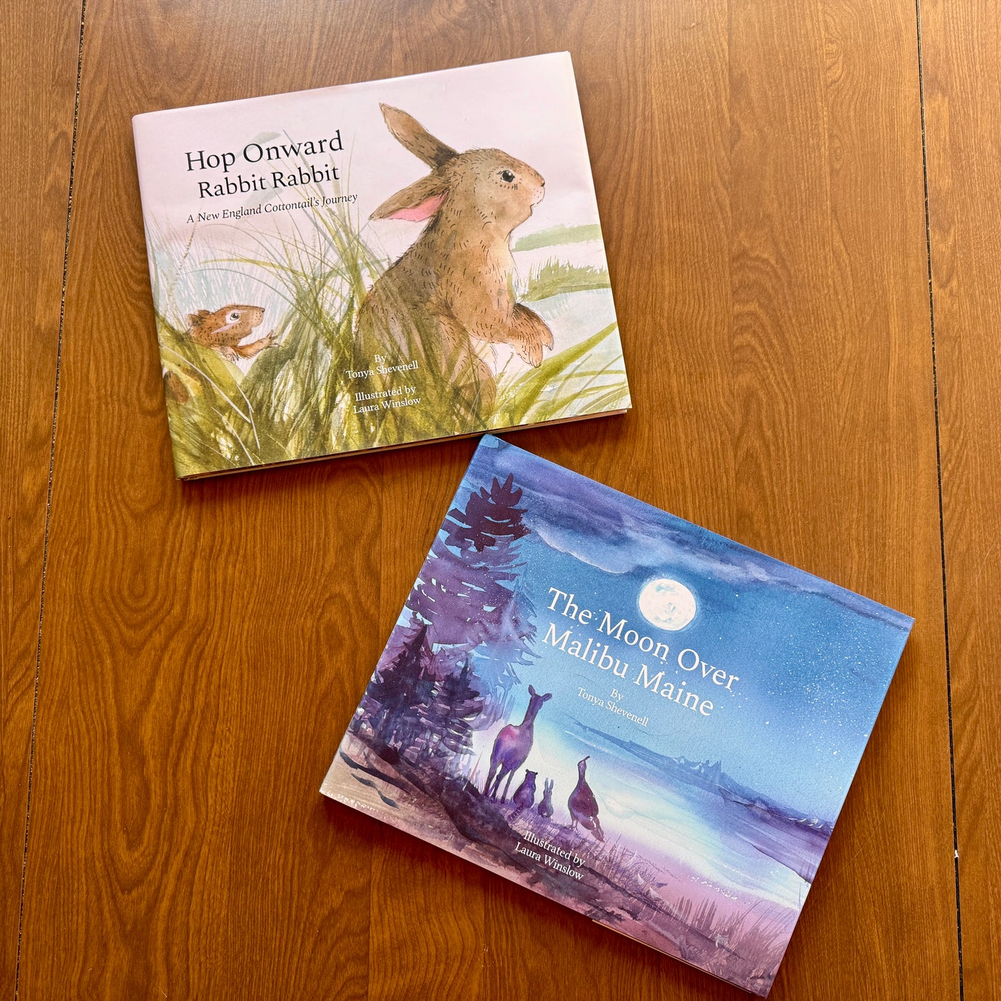 SPECIAL SALE! Two-book bundle with dust jacket fold boo-boos