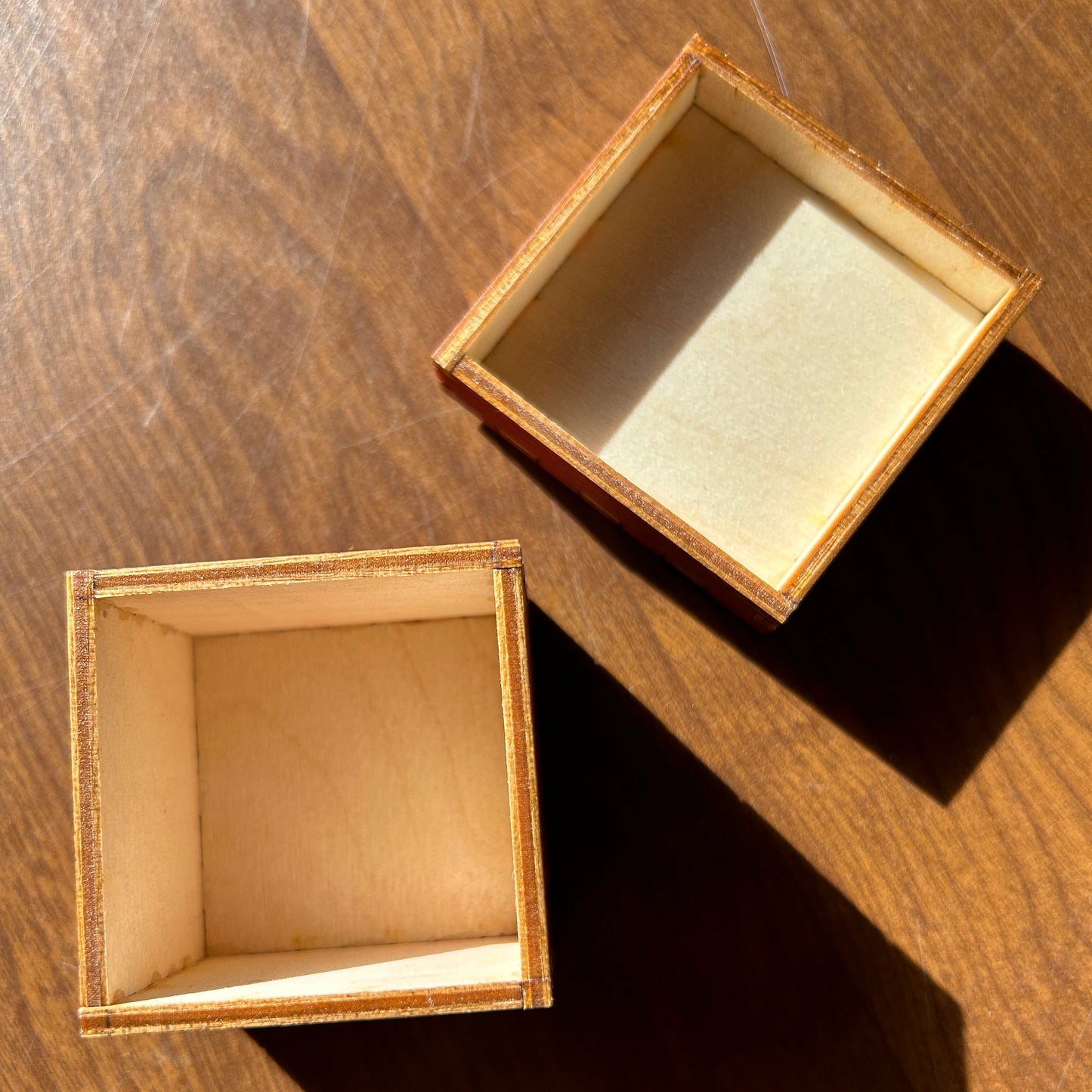 Golden hour bunny and bumble bee tiny treasure box