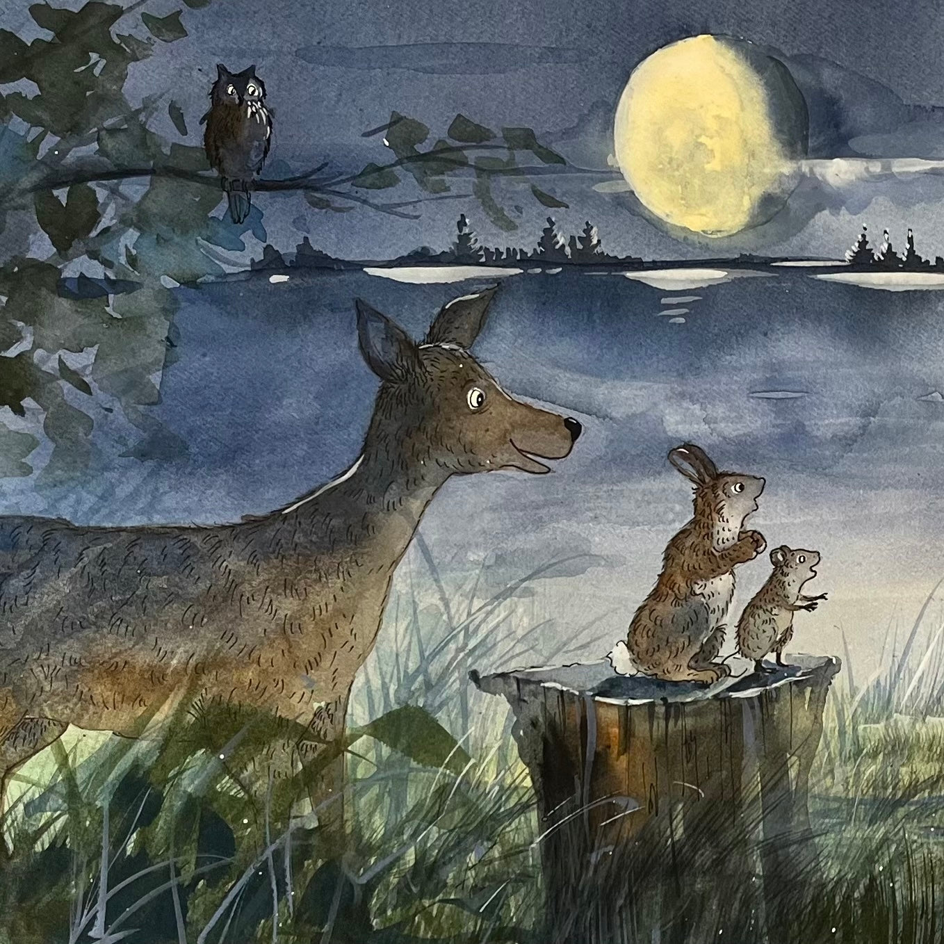 The Moon Over Malibu Maine