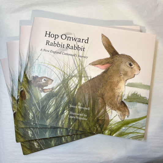 Four copies of Hop Onward Rabbit Rabbit children's book by Shevenell and Winslow