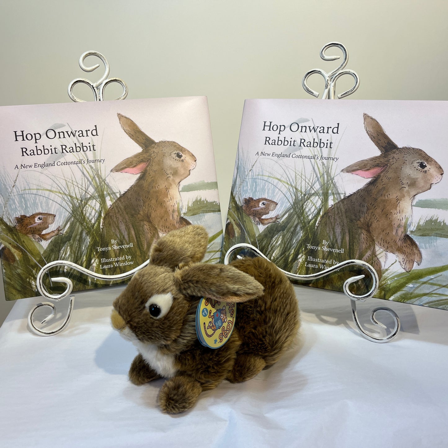 The book and bunny (cottontail) bundle! Hop Onward Rabbit Rabbit: A New England Cottontail's Journey