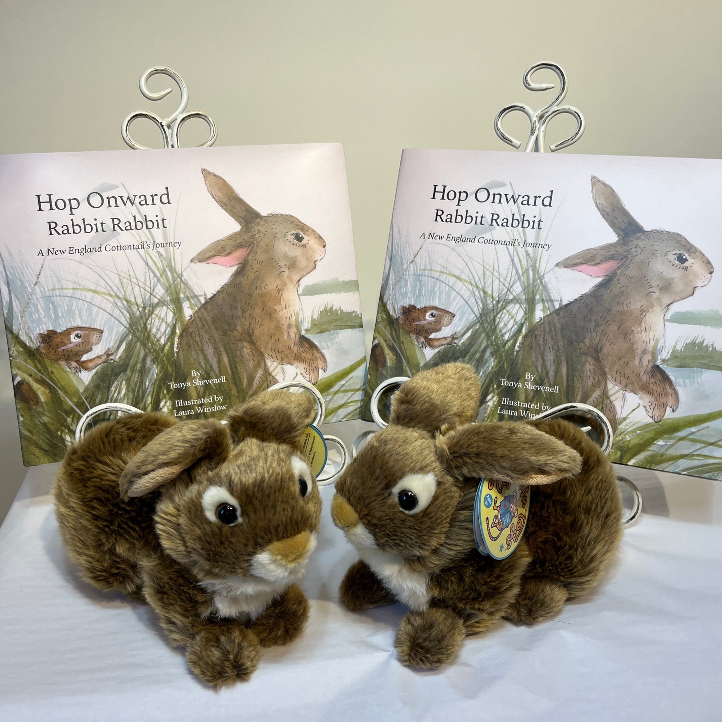 The book and bunny (cottontail) bundle! Hop Onward Rabbit Rabbit: A New England Cottontail's Journey
