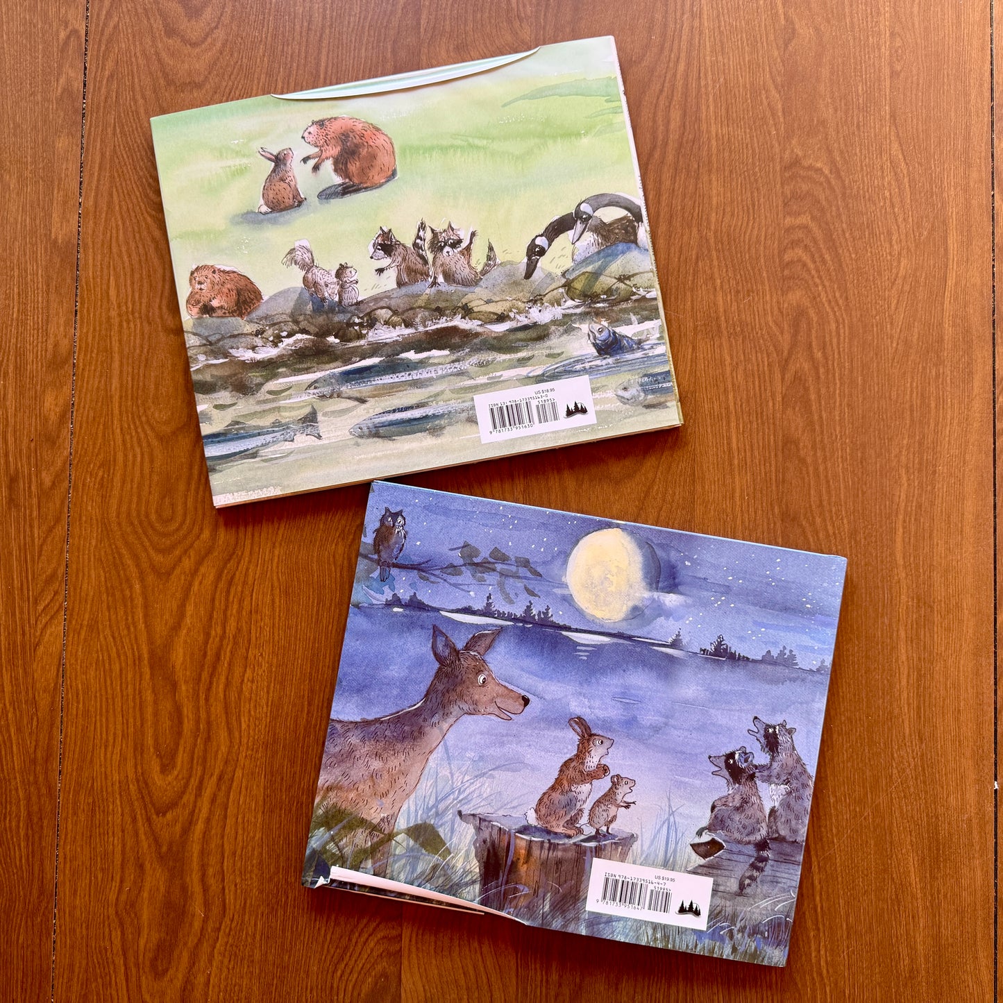 SPECIAL SALE! Two-book bundle with dust jacket fold boo-boos