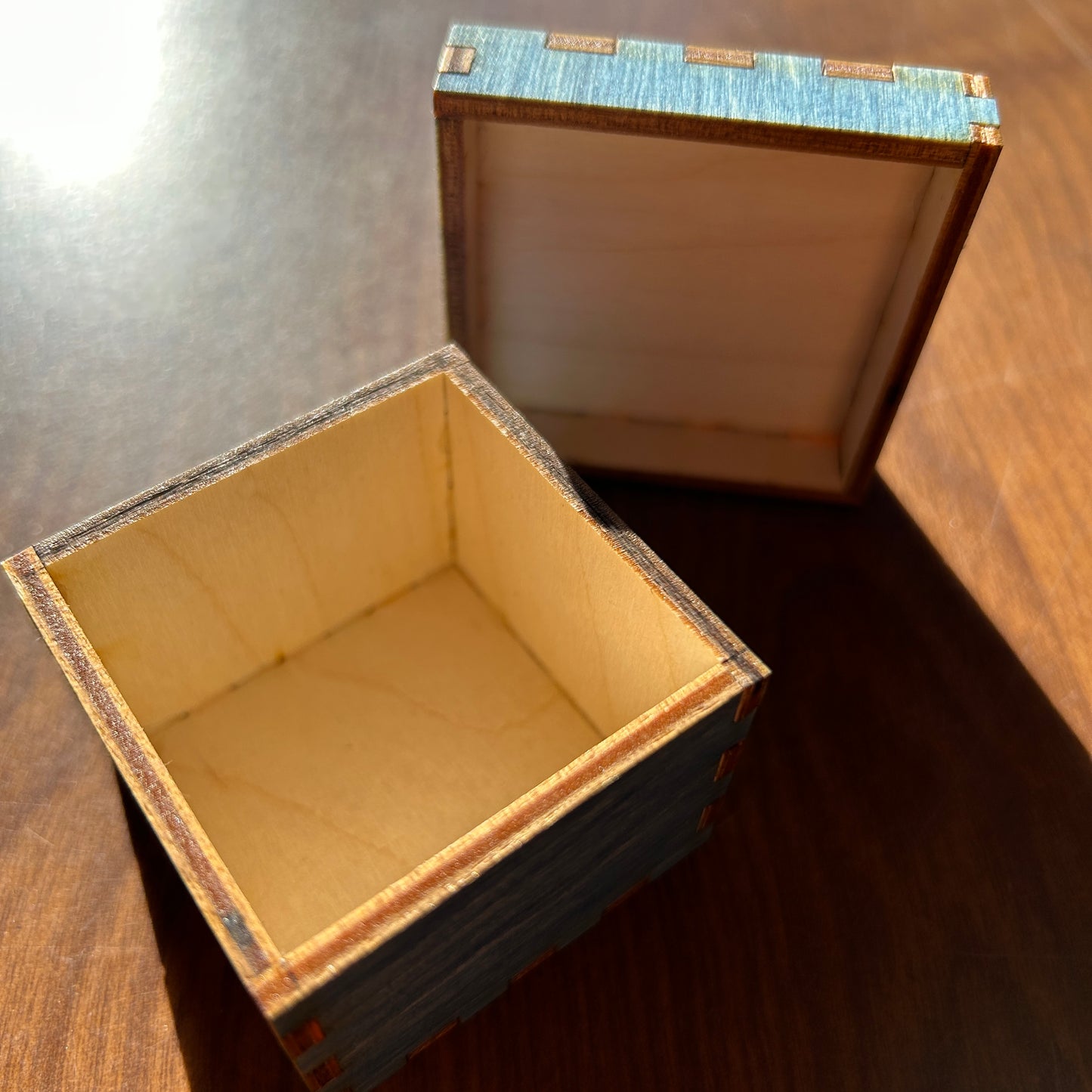 The puffins tiny treasure box