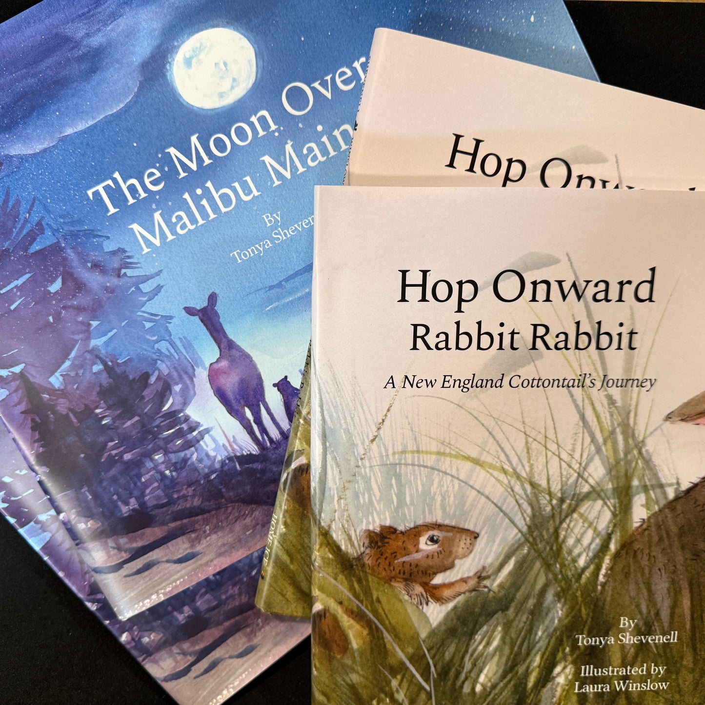 Four book bundle on Hop Onward Rabbit Rabbit and The Moon Over Malibu Maine