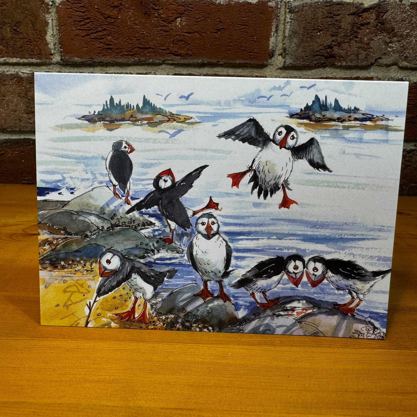 Puffins at play - Greeting Card with Envelope - Illustration from The Maine Birthday Book