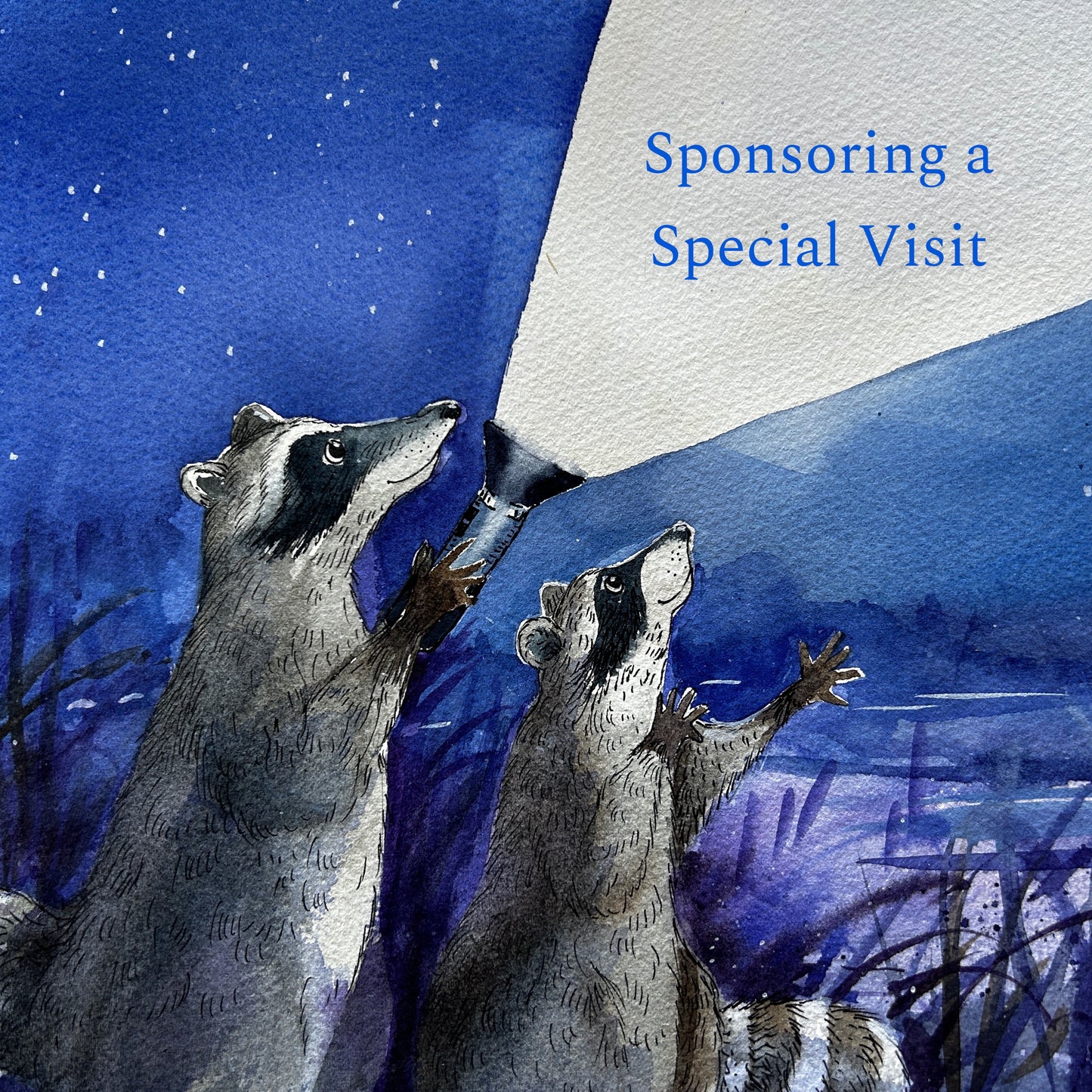 Sponsor a School, Assisted Living/Care Facility or Library Author Visit - preorder offering