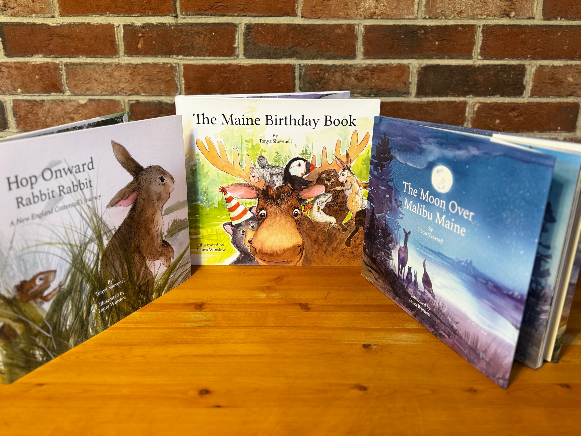 Hop Onward Rabbit Rabbit The Maine Birthday Book The Moon Over Malibu Maine books