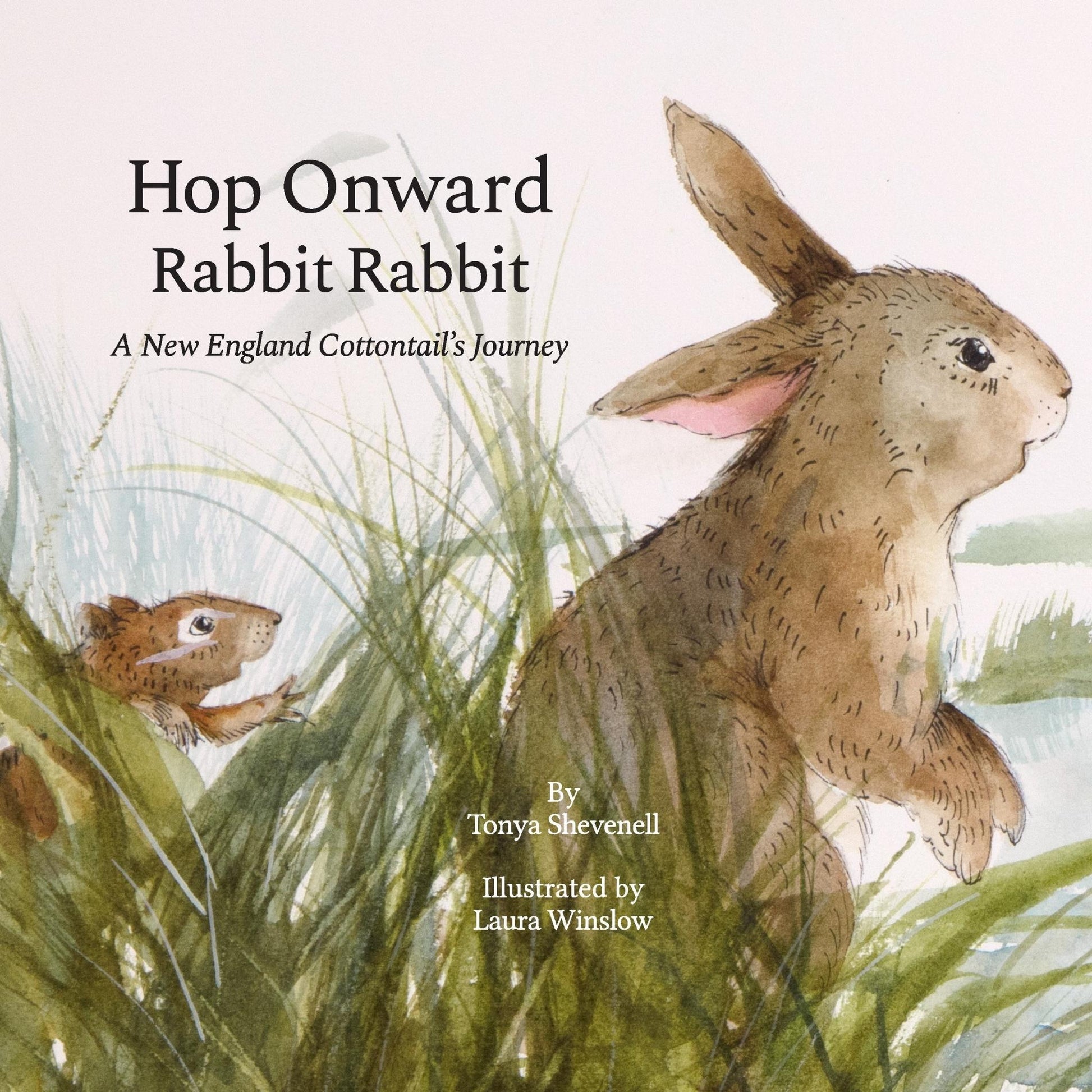 Book cover of Hop Onward Rabbit Rabbit A New England Cottontail's Journey by Tonya Shevenell and Laura Winslow