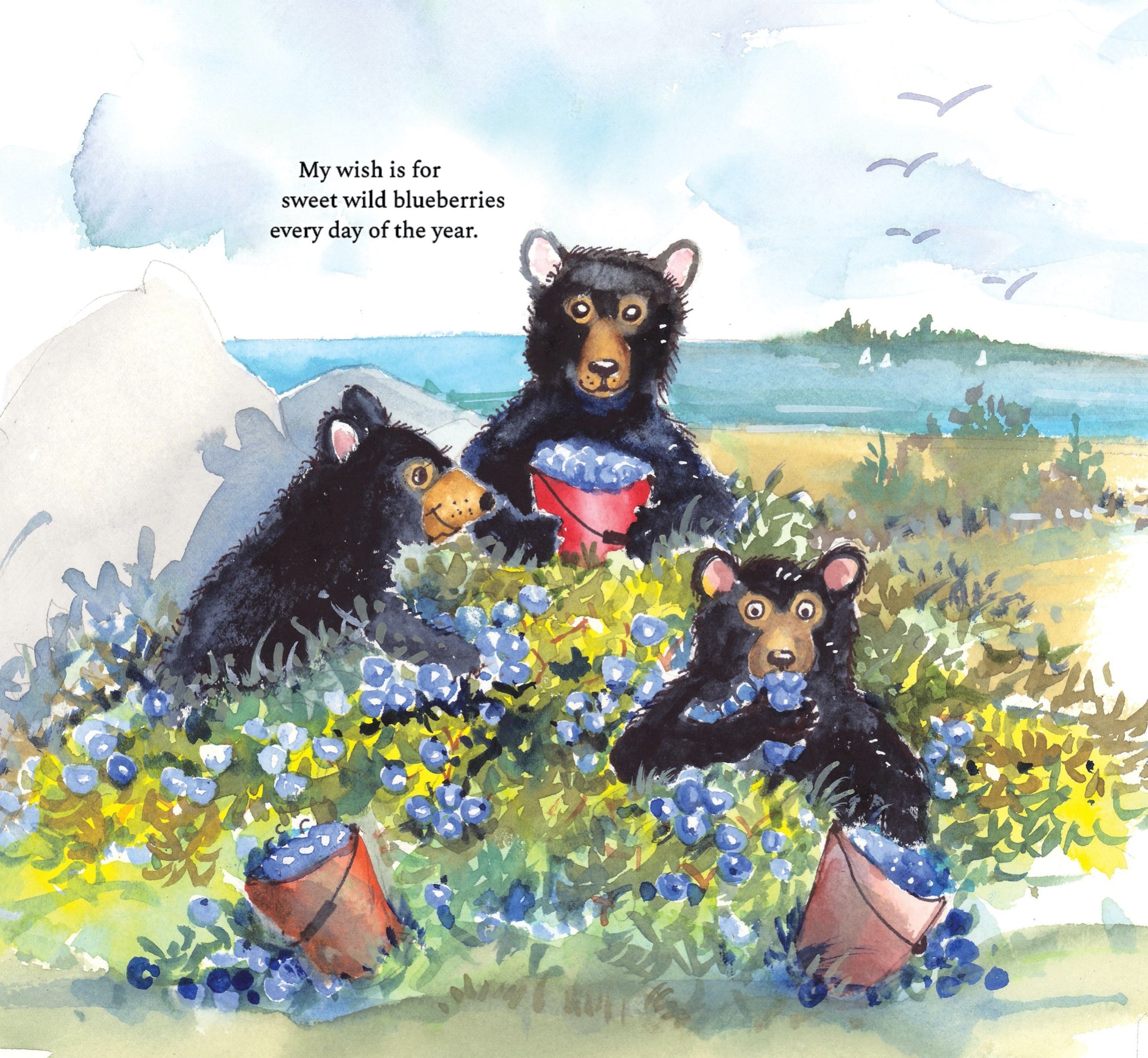 page from inside The Maine Birthday Book with bears in blueberries making a wish