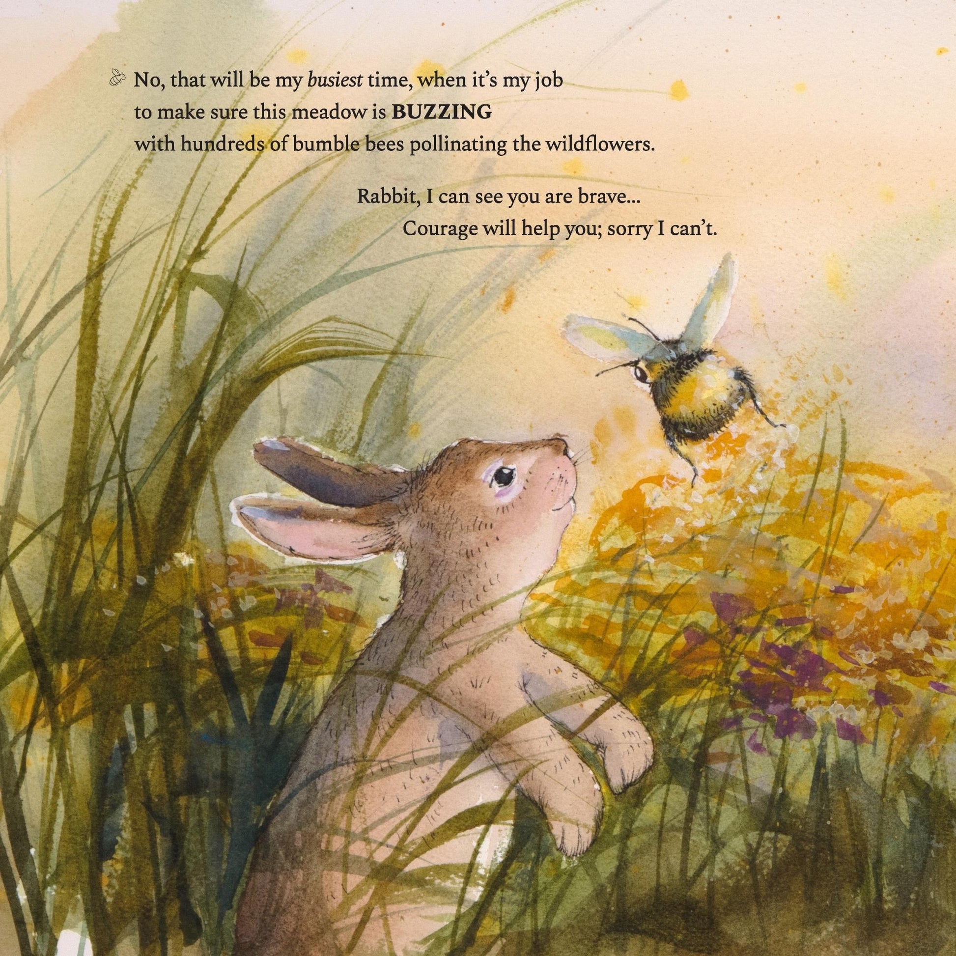 New England Cottontail Rabbit with a bumble bee in meadow from Hop Onward Rabbit Rabbit children's book