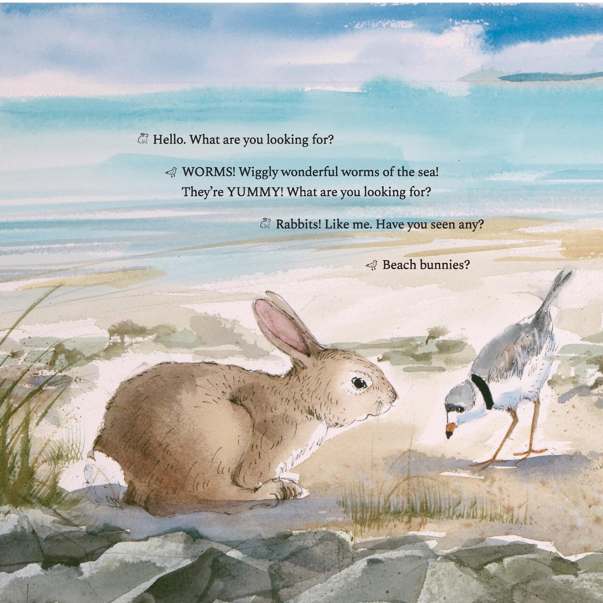 New England Cottontail Rabbit meets a piping plover on the beach from Hop Onward Rabbit Rabbit book