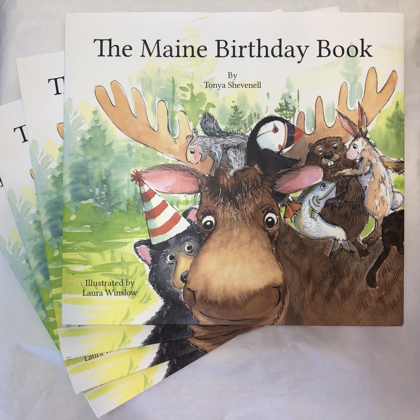SPECIAL PRICE: A 4-Book Bundle of The Maine Birthday Book