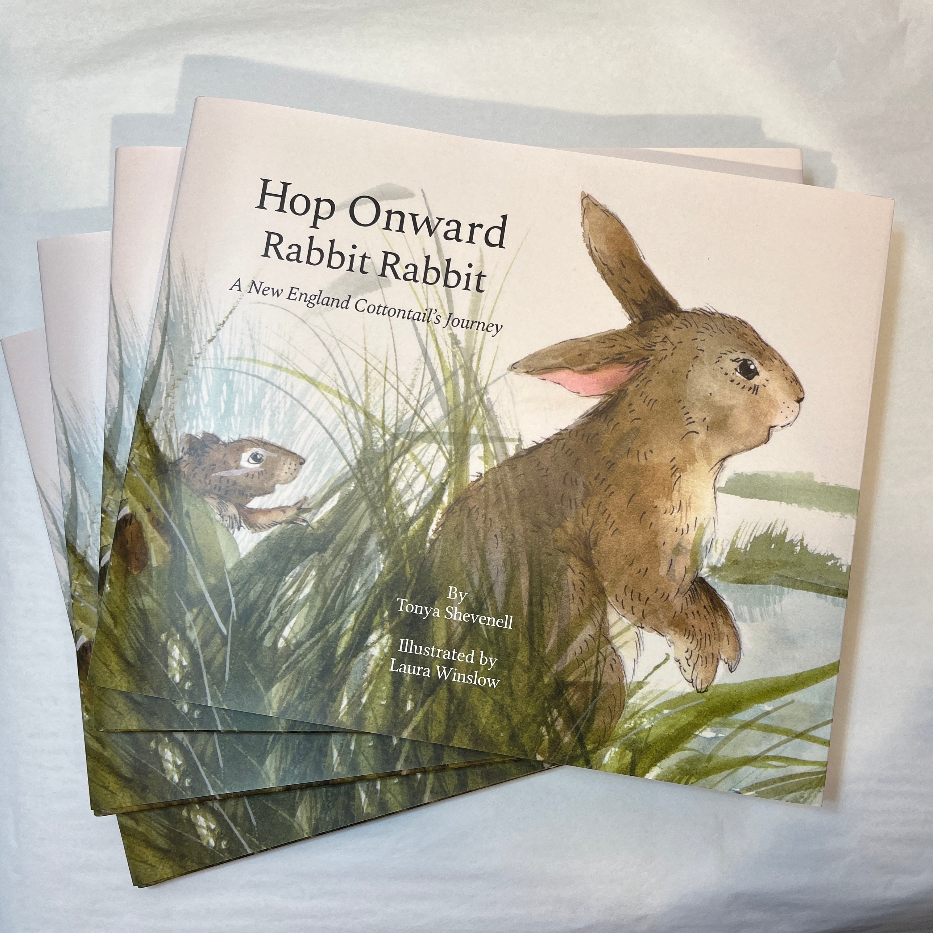 Hop Onward Rabbit Rabbit: A New England Cottontail's Journey by Tonya ...