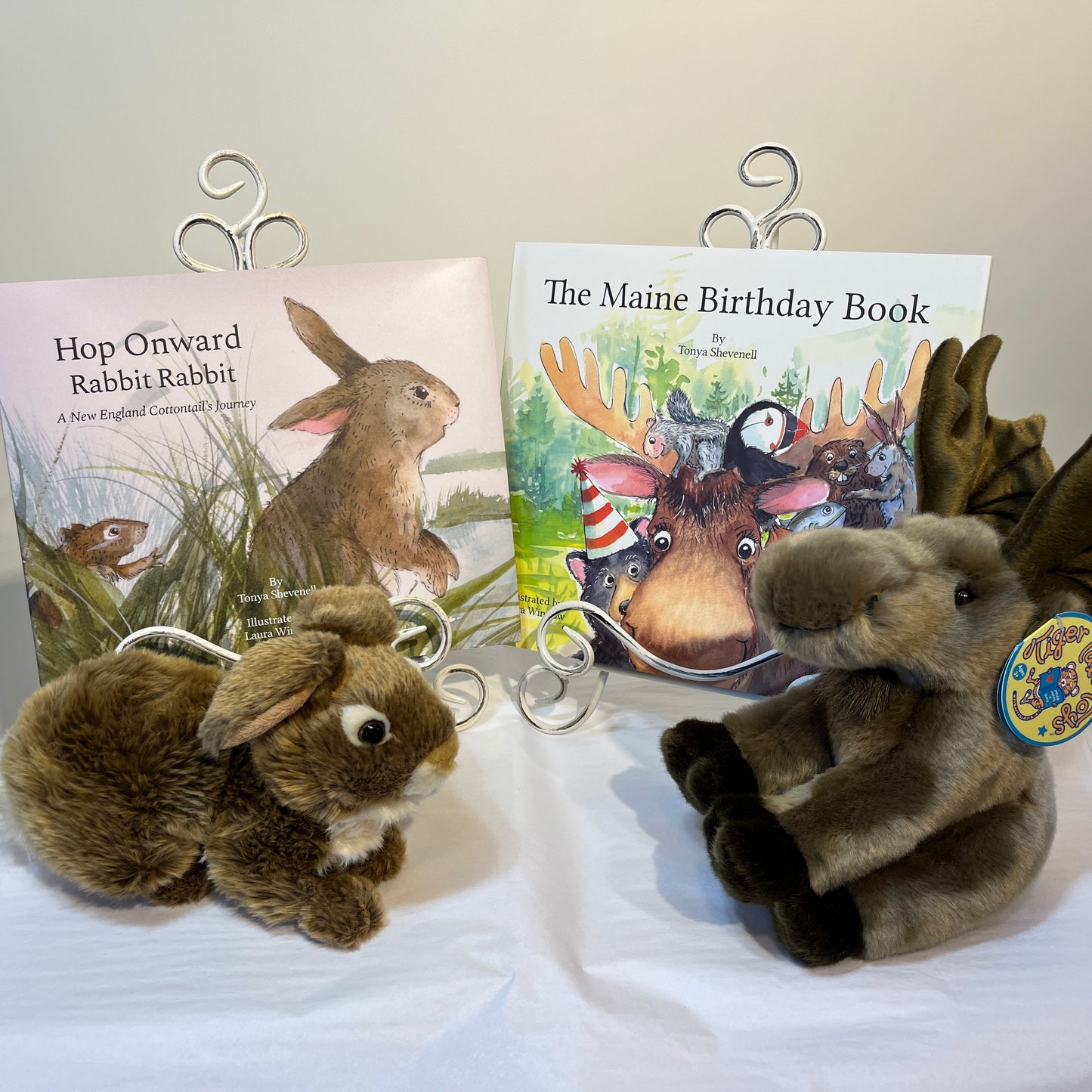 The book and bunny (cottontail) bundle! Hop Onward Rabbit Rabbit: A New England Cottontail's Journey