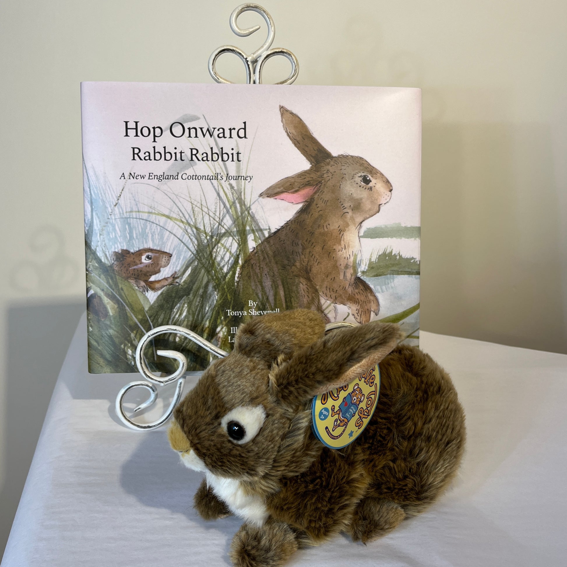 Hop Onward Rabbit Rabbit book and stuffed cottontail rabbit