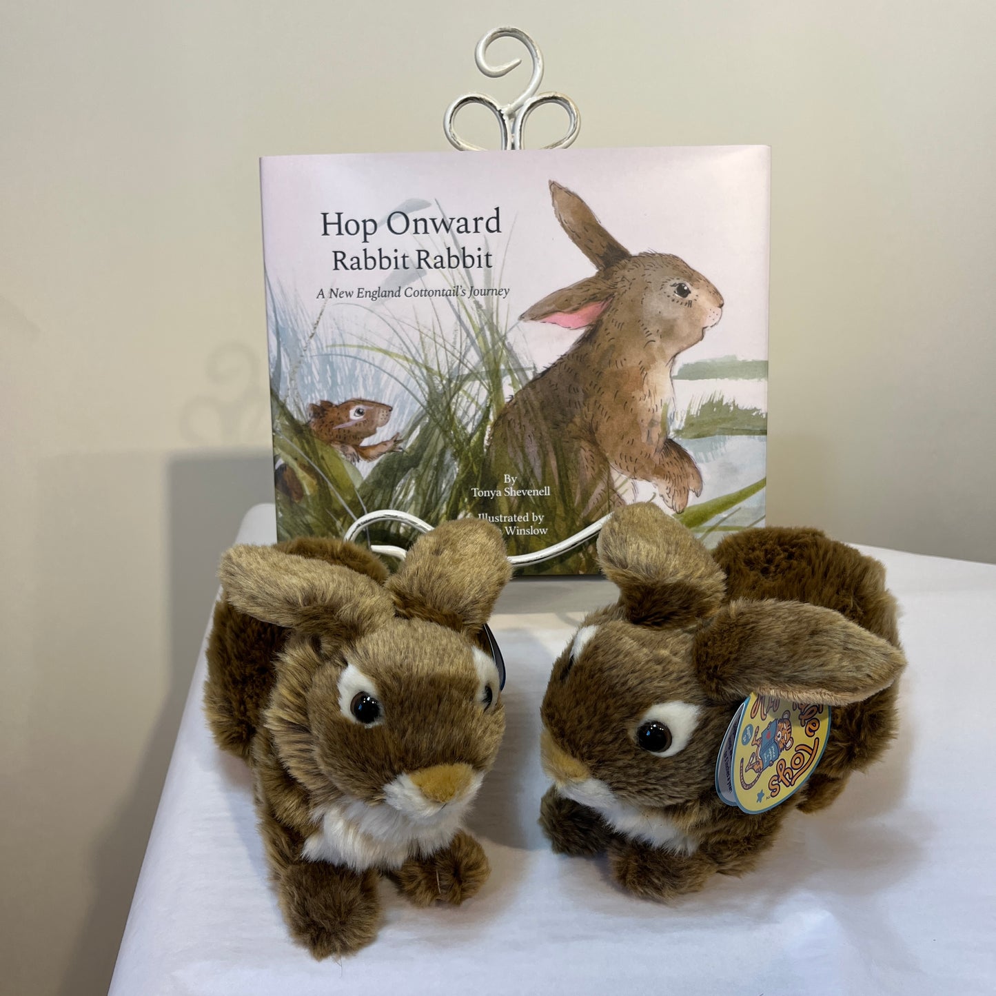 The book and bunny (cottontail) bundle! Hop Onward Rabbit Rabbit: A New England Cottontail's Journey