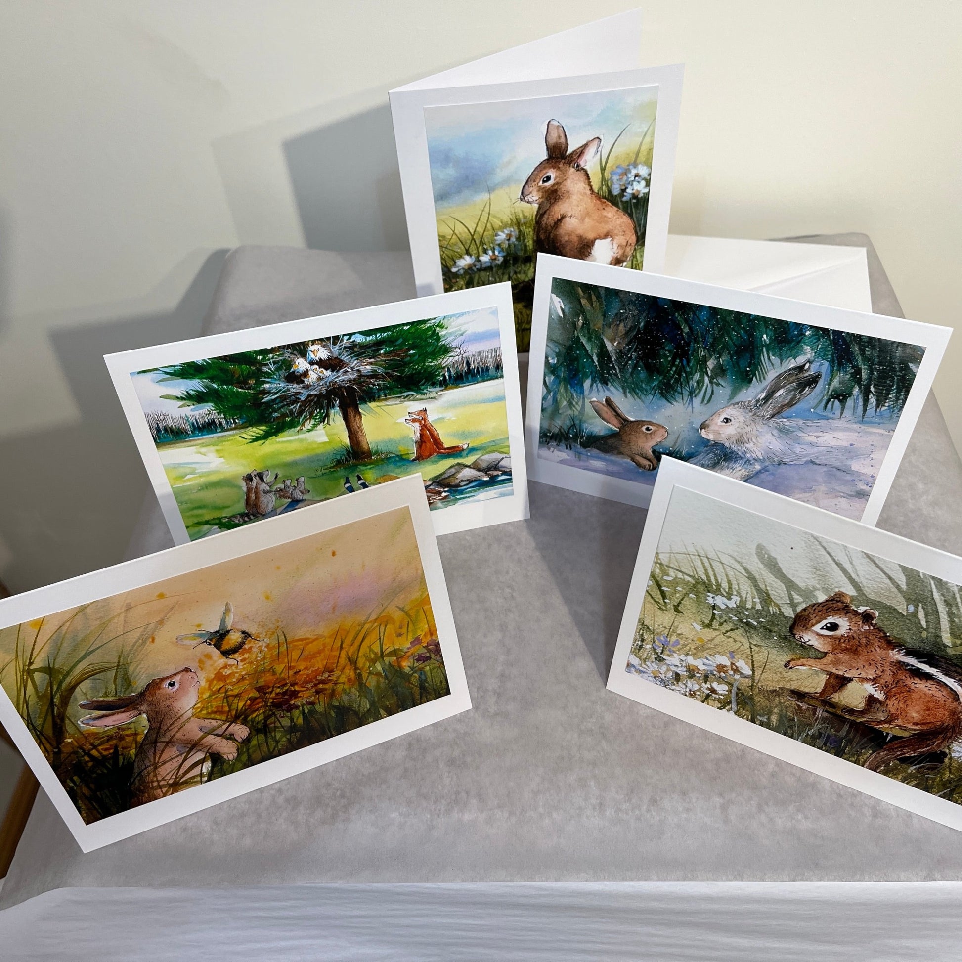 set of 5 photo note cards from Hop Onward Rabbit Rabbit book