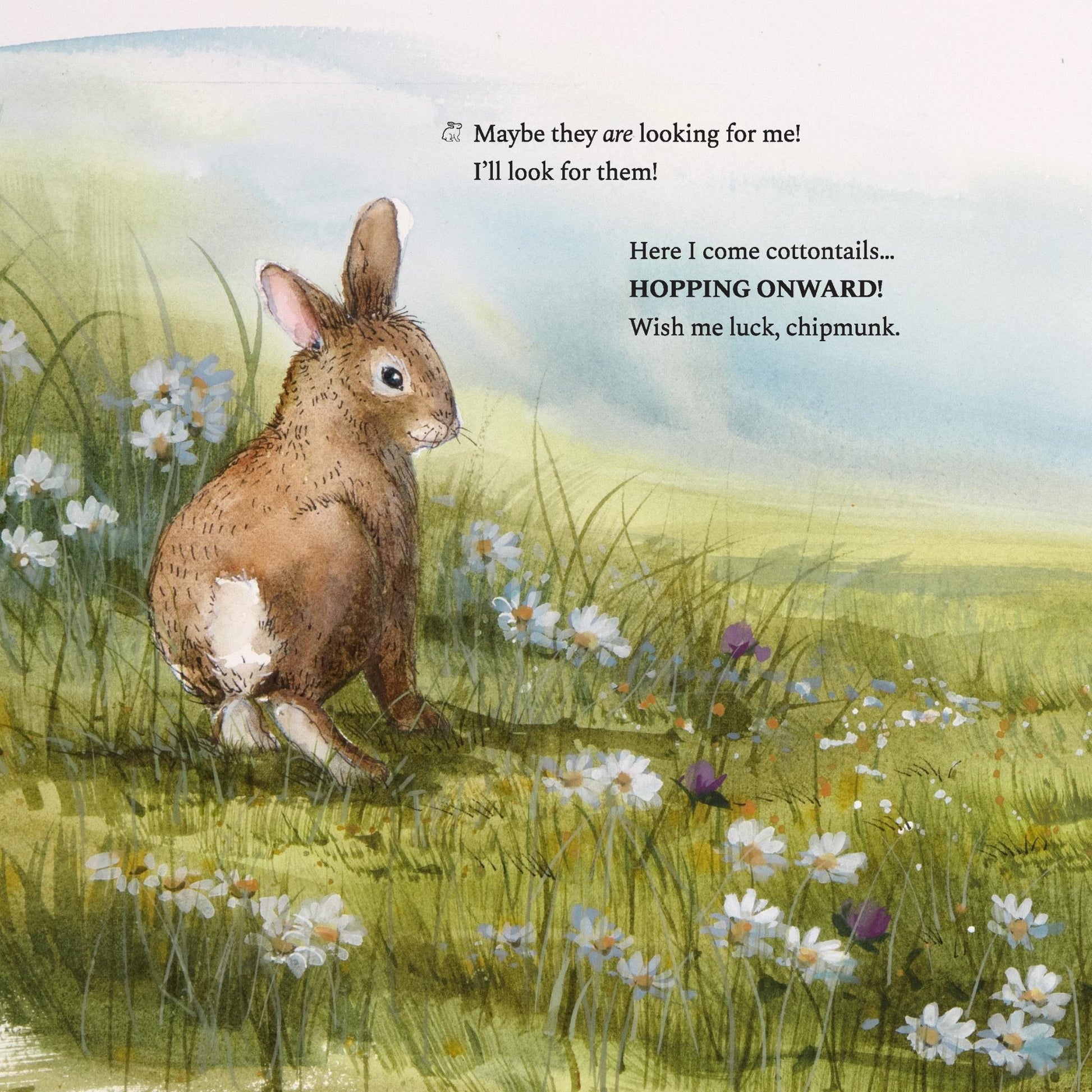 New England Cottontail Rabbit will hop onward, page from Hop Onward Rabbit Rabbit book